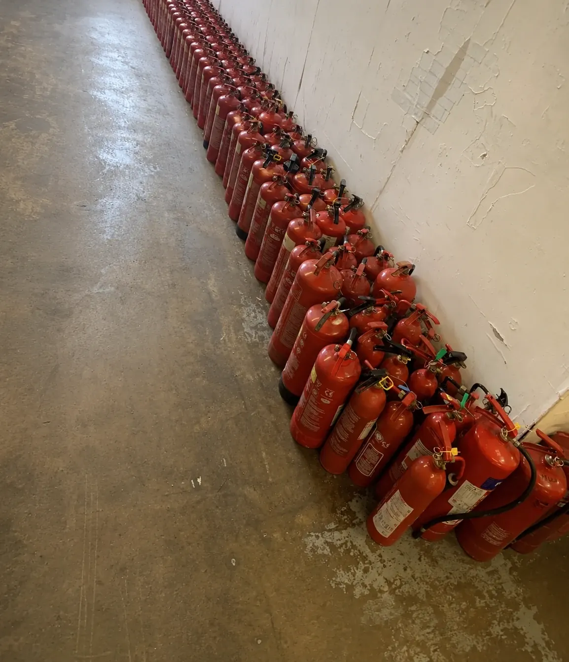 A row of refurbished red extinguishers